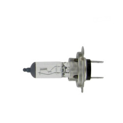 Ampoule H7 12v 55W