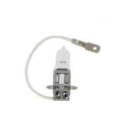 Ampoule H3 24V 70W