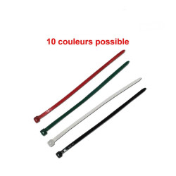 Colliers nylons 2,5x100mm (x100) - Couleurs au choix