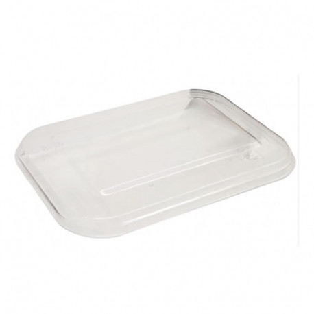 Verre de rechange clair pour lucarne 500x350mm