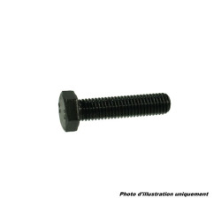 Boulon 10x35 filetage fin classe 8.8